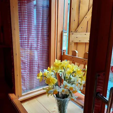 Casa Canale - Residenze Bucaneve